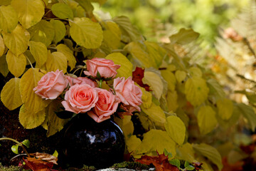 Pink roses with yellow leaves on the background