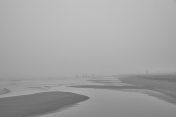 beach with people in fog