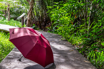The red umbrella Placed in a wooden walkway in a sunny day.