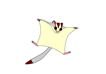 フクロモモンガのイラスト