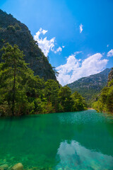 Emerald-colored lake in the forest in a canyon