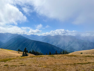 Hurricane Ridge