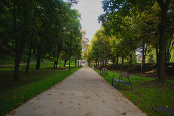 path in the park