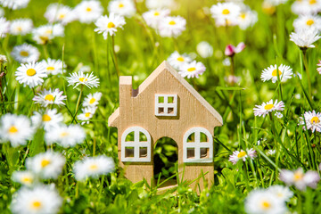 The symbol of the house stands among white daisies
