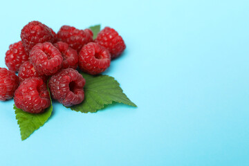 Handful of red juicy raspberries with leaves on a blue background, space for text
