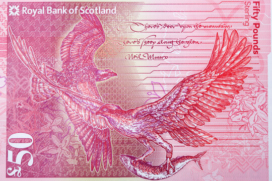 Osprey A Portrait From Scottish Money