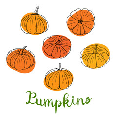 Set of doodle pumpkins with abstract spots.Halloween decorations.Hand-drawn Thanksgiving gourds collection, vegetarian food, proper nutrition, healthy diet.Sketch, minimalism,line art.Isolated. Vector