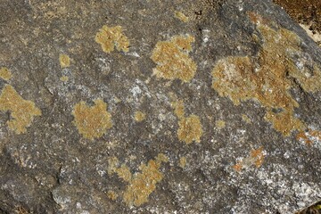 Dark stone background texture with irregular spots of brown lichen abstract nature pattern