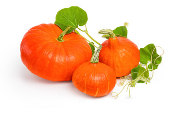 Three orange pumpkins of different sizes and green leaves on a white background. Isolated objects.
