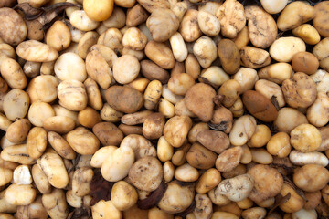 closeup pebbles stone background