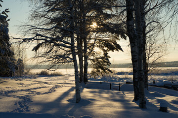 winter landscape with snow, sun, blue sky and snowy trees