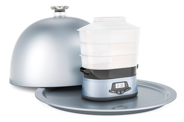 Restaurant cloche with food steamer, 3D rendering