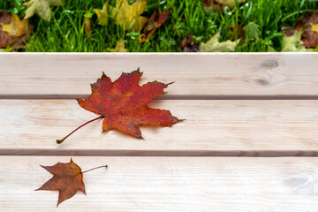 Naklejka na ściany i meble Autumn red-burgundy maple leaves on a park bench. Autumn template with copy space.