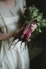 young beets in the hands of a girl