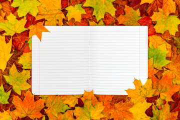 Naklejka na ściany i meble Autumn leaves with open notebook with lined pages in the center