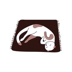 Cute cat sleeping on rug. Sweet kitty resting and dreaming, lying on mat. Adorable sleepy kitten relaxing. Flat vector illustration of funny feline animal isolated on white background
