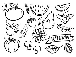 Autumn food and eat elements set. Hand drawn black color icons.