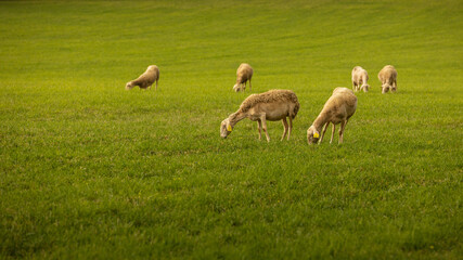 Paysage Aveyron Occitanie © Philippe Ramakers