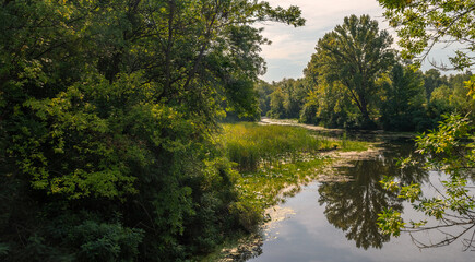 A small river with calm waters and flowering water lilies along the banks flows in a wooded area. Beautiful nature.