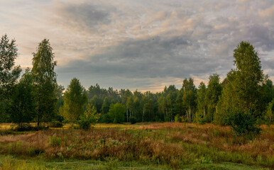 Beautiful meadow overgrown with grasses surrounded by forest. A good place for nature tourism.