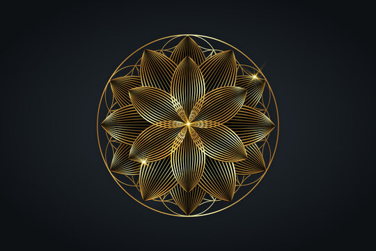 flower of life, gold spiritual mandala, Sacred Geometry. Bright golden lotus symbol of harmony and balance, seventh chakra. Mystical talisman, luxury round vector isolated on black background 