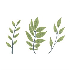 Modern autumn trendy icon of falling ash. Scrapbook collection of fall season elements. Flat natural vector illustration with floral for advertisement, promotion