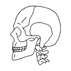 Human skull outline icon, side view