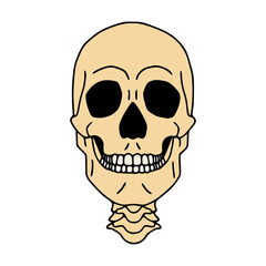 Human skull flat icon, isolated on white background