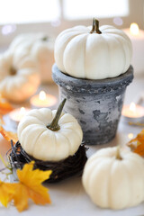Hello Autumn or Happy Thanksgiving composition with white pumpkins and lit candles. Shallow depth of field