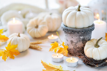 Hello autumn or Happy Thanksgiving concept with a beautiful composition of white pumpkins with autumn leaves and burning candles. Shallow depth of field