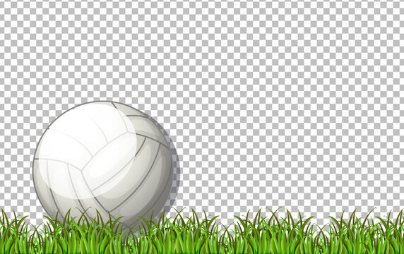 White volleyball ball and grass on transparent background
