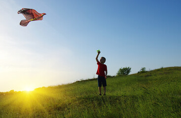  Little boy playing with kite on field