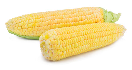 corn isolated on white background