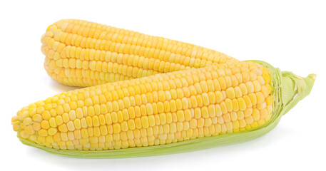 corn isolated on white background