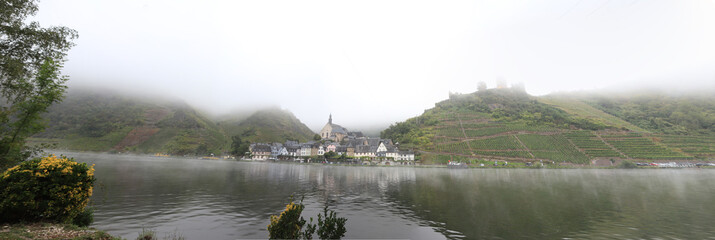 Burg von Metternich bei Nebel