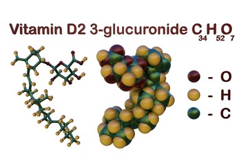 Structural chemical formula and molecular model of vitamin D2 3-glucuronide, a natural human metabolite of vitamin D2 generated in the liver. 3d illustration