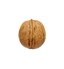 Single walnut on a white