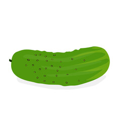 Cucumber vector isolated on white background.