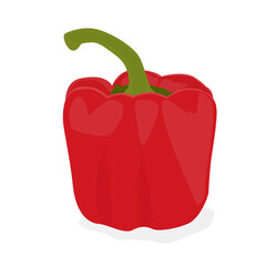 Red pepper vector isolated on white background.