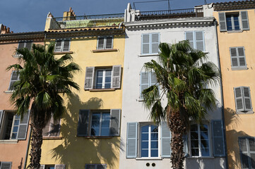 Fototapeta premium Façades d'immeubles avec des palmiers à Toulon