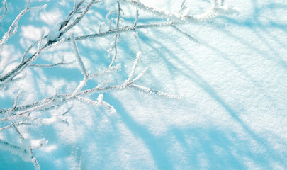 Beautiful image of snowy winter - branches of bush or tree covered with frost in nature against the background of pure sparkling snow with shadows of turquoise shade.