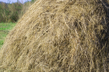 haystack