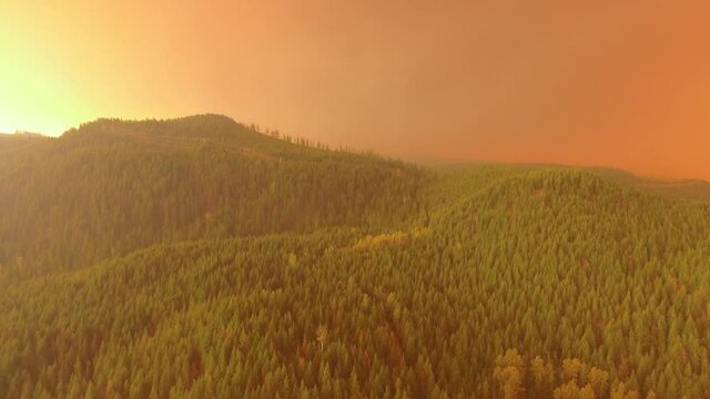 4K Drone Flies Over BC Forest With Smoky Orange Sky Overhead During Wildfire Season