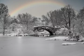 Acrylic prints Gapstow Bridge Gapstow Bridge in Central Park winter