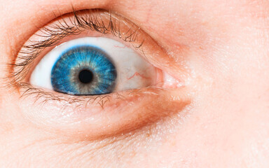 Obraz premium Close-up of wide open human eye, blue iris, vessels and capillaries, macro photography.