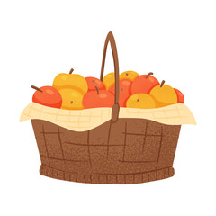 A basket full of sweet ripe apples for autumn farm market banner design.