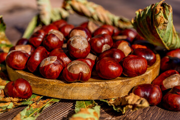 Chestnuts in a plate with dry leaves on a brown wooden table. Autumn still life with bright horse chestnuts on wooden background. High quality photo