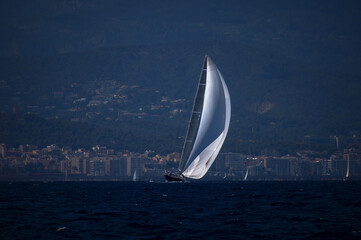 Maxi yacht sailing in the bay of palma de mallorca - obrazy, fototapety, plakaty