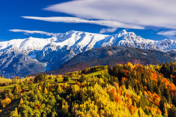 Brasov, Romania. Autumn in Moeciu Village. The rural landscape in the Carpathians. - obrazy, fototapety, plakaty