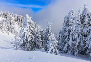 Poiana Brasov, Romania. Winter landscape in the Carpathians mountains.